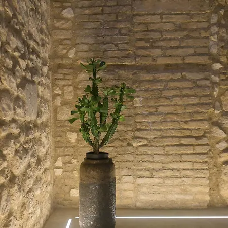 Almatros Design Ambra In Palazzo Storico سولمونا